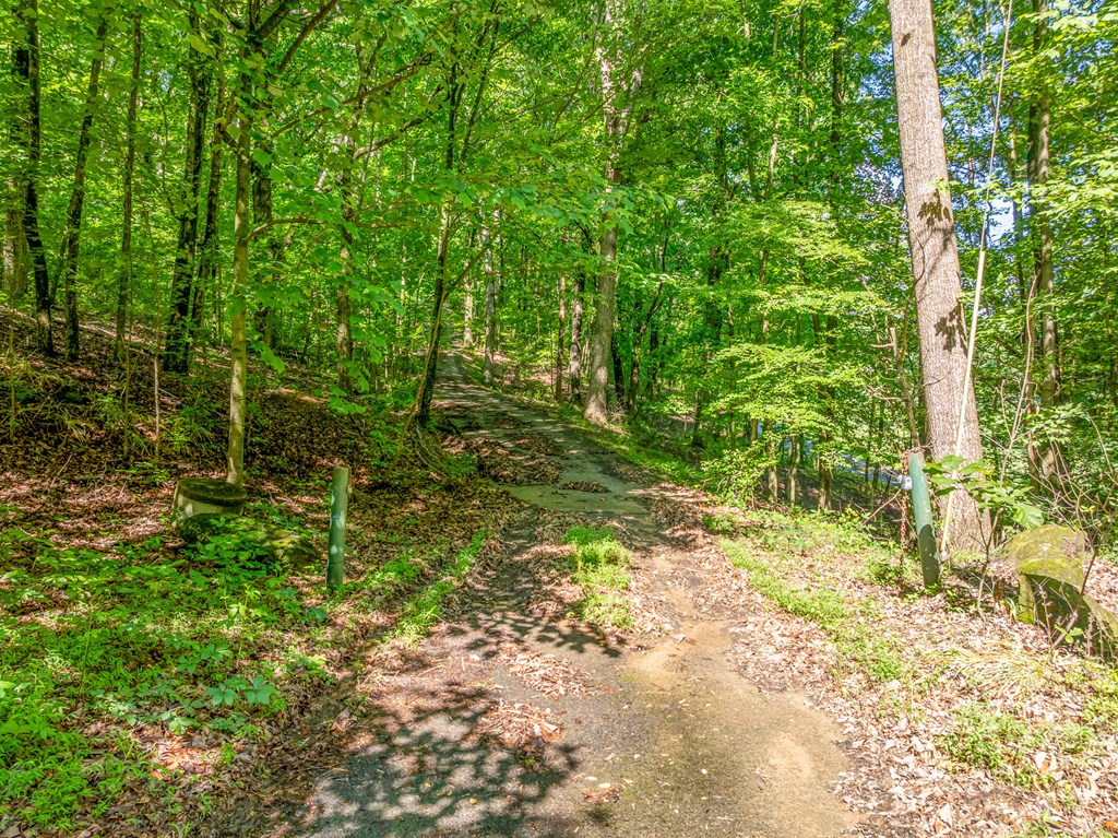 3.65 Ac Emory Stephens Rd.