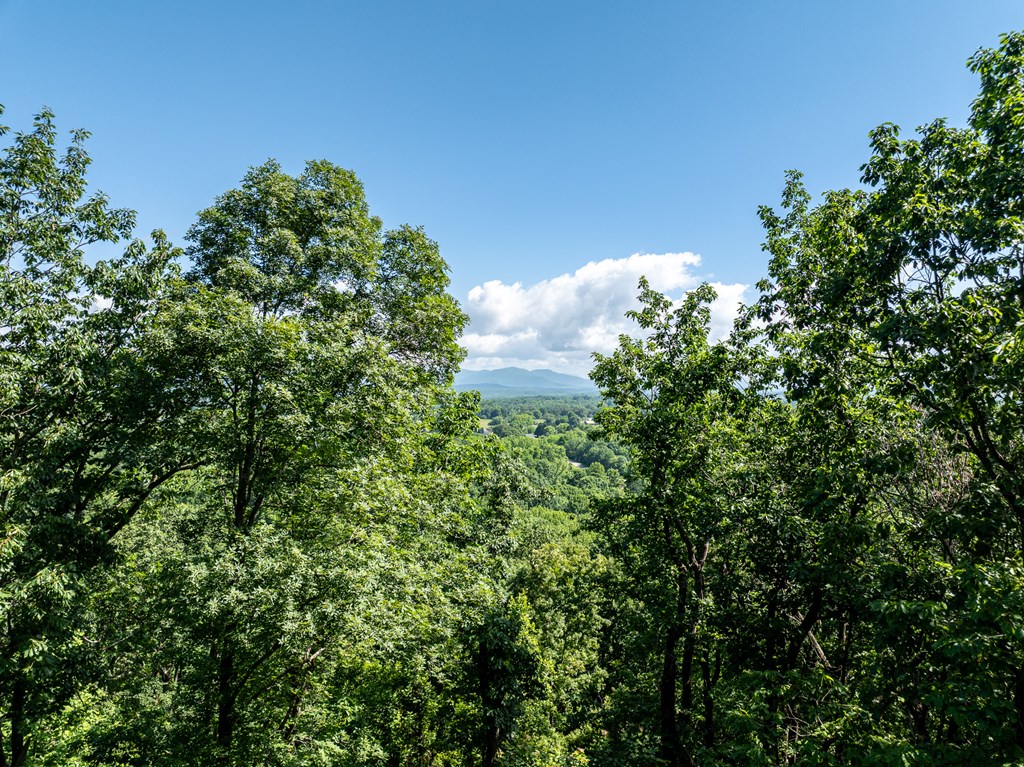 3.65 Ac Emory Stephens Rd.