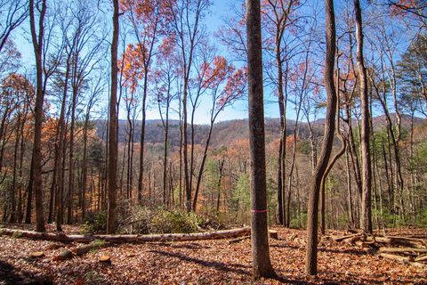 Lot 5 Clay's Way Blue Ridge GA 30513
