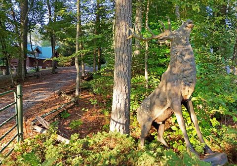 2682 Douthit Road Mineral Bluff GA 30559