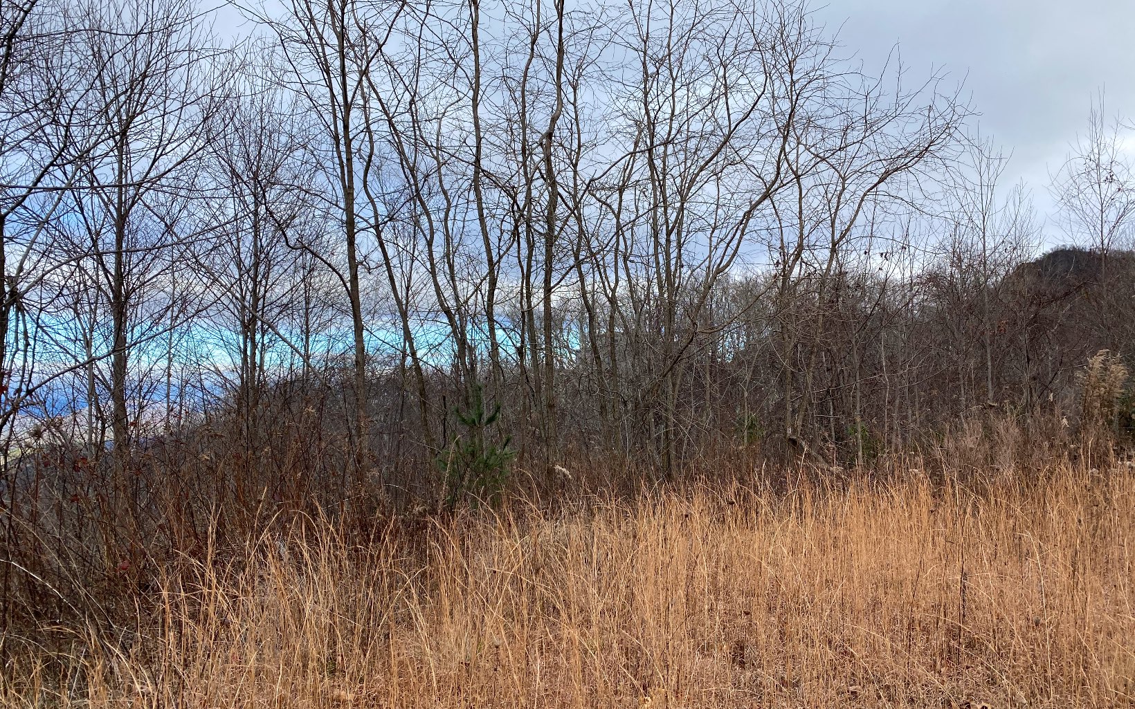 Lot G5 Georgianna Lane