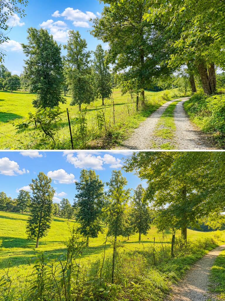 282 Friendly Lane