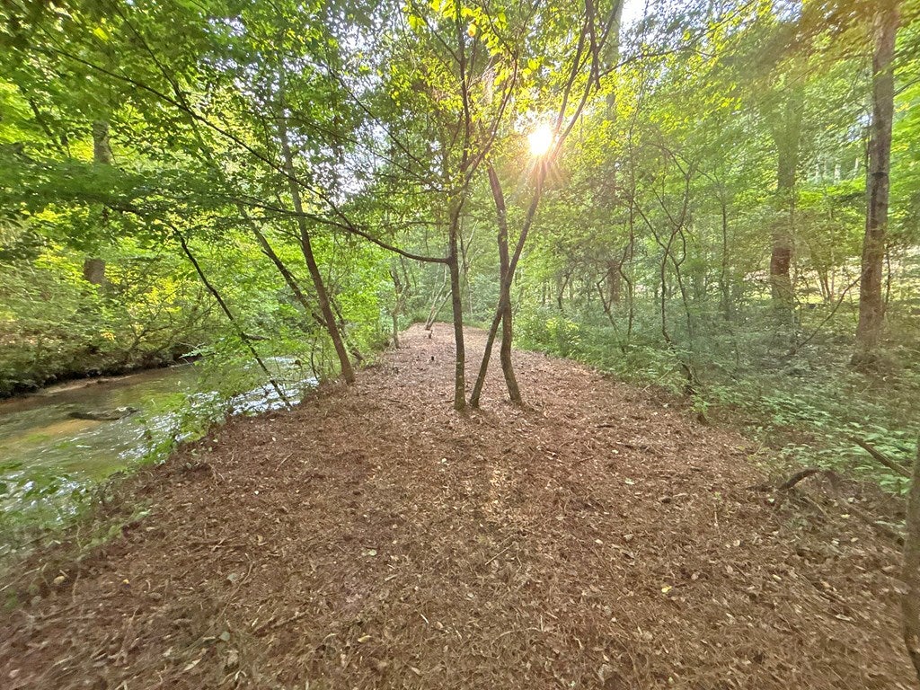 Lot 17 Mt. Springer Road