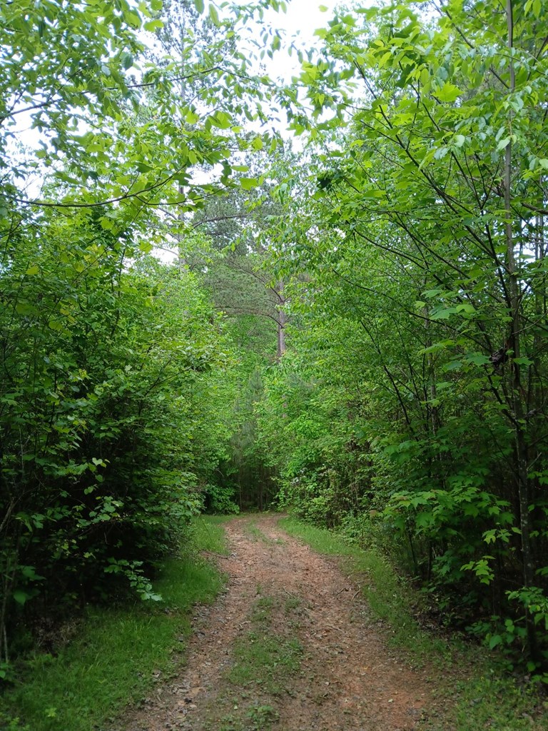 7.52 Ac. Hicks Ford Road