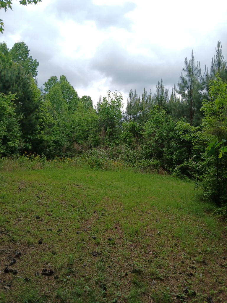 7.52 Ac. Hicks Ford Road