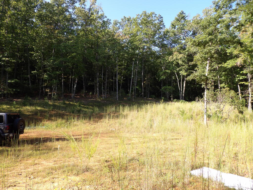 349 Old Ferguson Town Road
