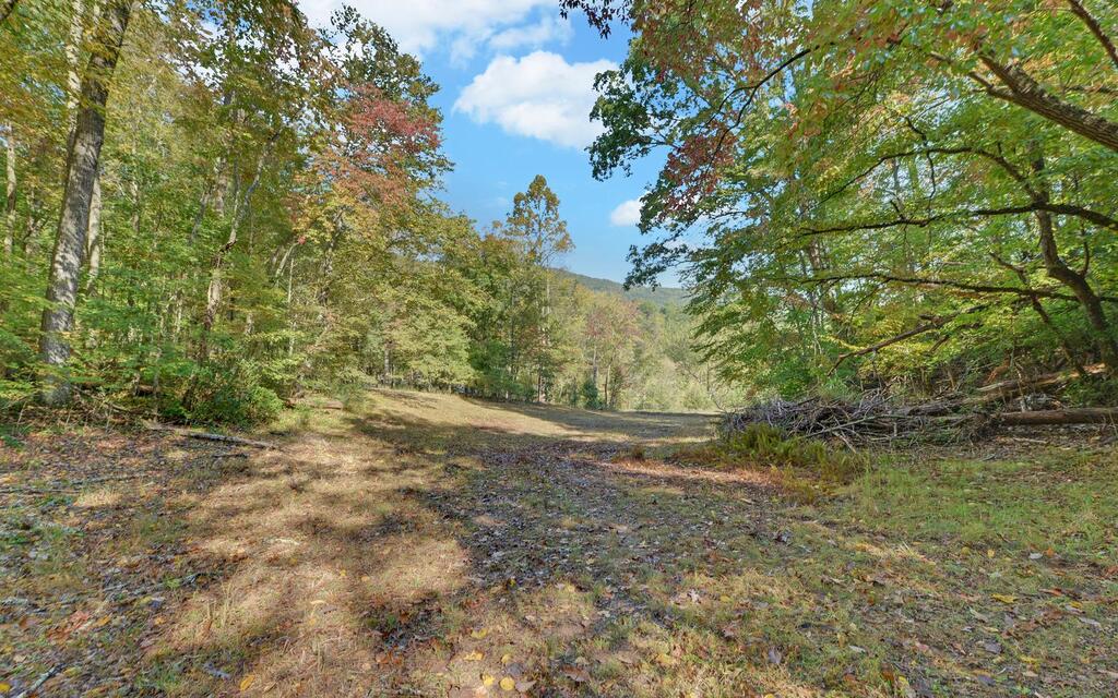 349 Old Ferguson Town Road