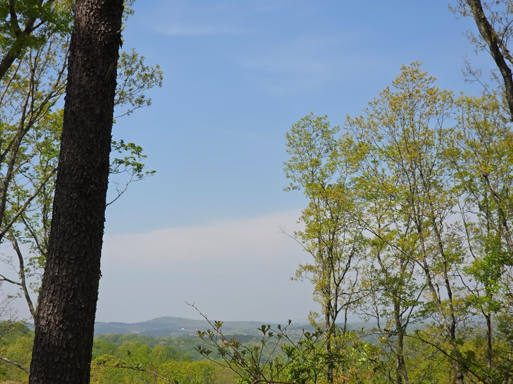 Lot 105 Twisted Oak Road