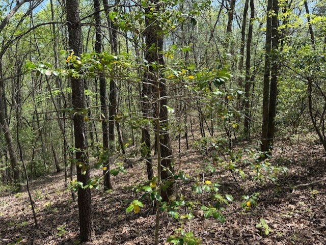 Lot 5 Marjorie Avenue