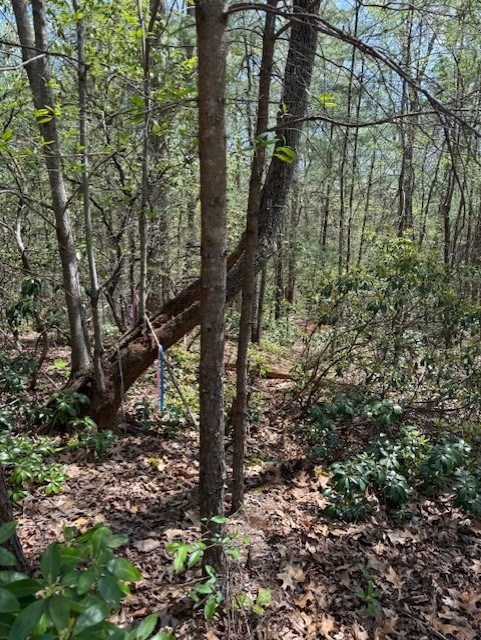 Lot 5 Marjorie Avenue