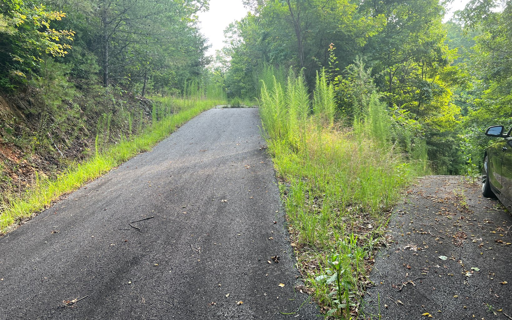 Lot 11 The Preserve At Beach Mountain