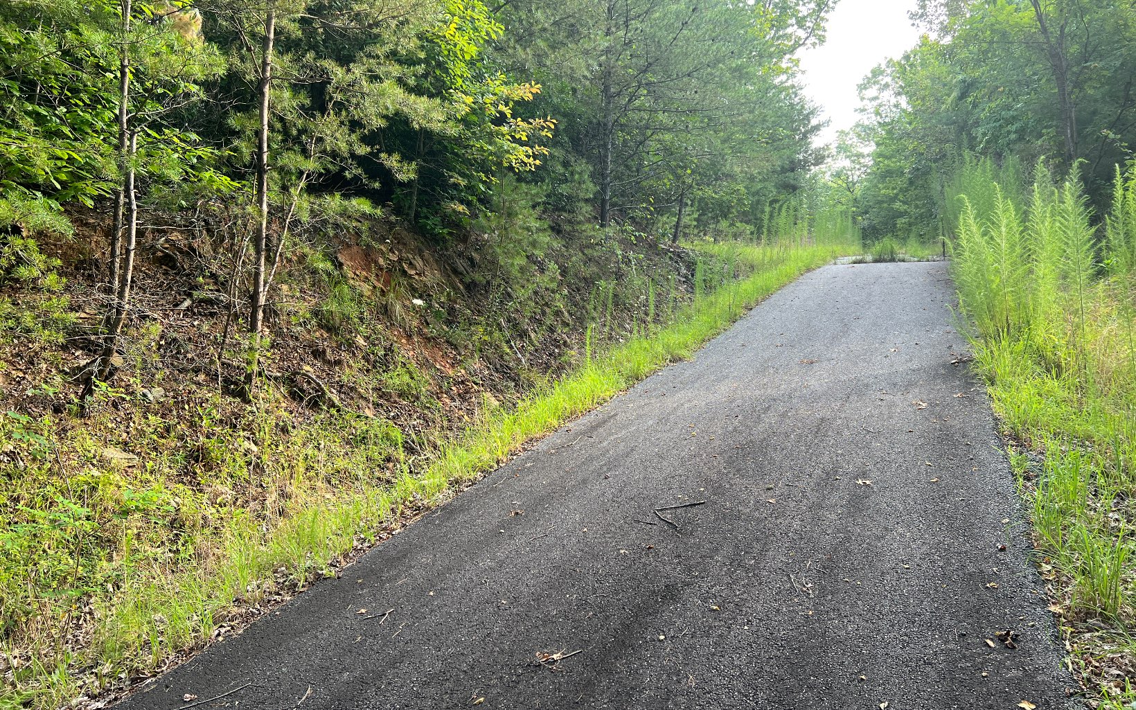 Lot 11 The Preserve At Beach Mountain