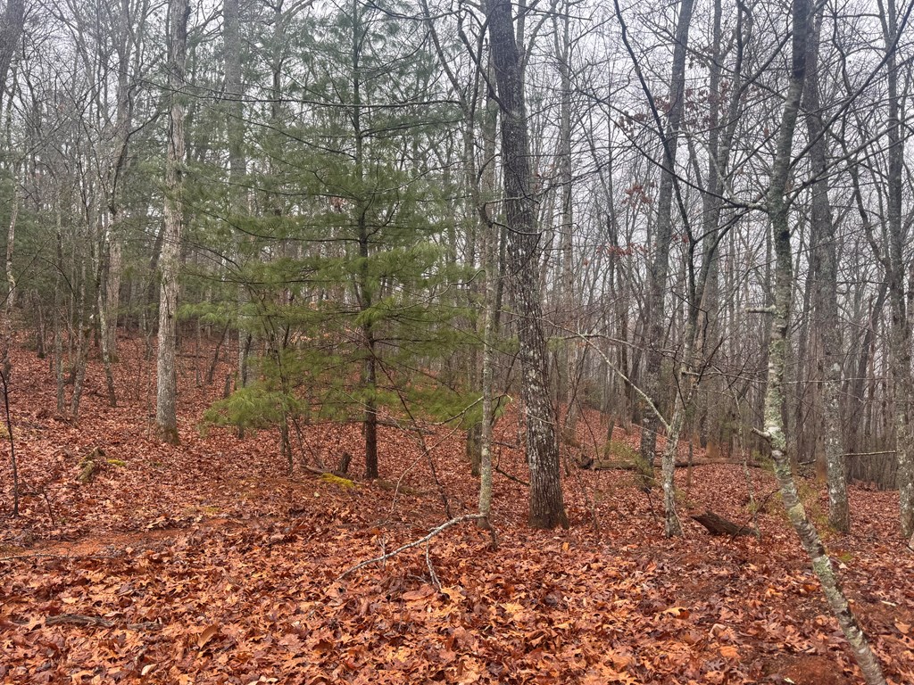 9.7Acres Winchester Creek