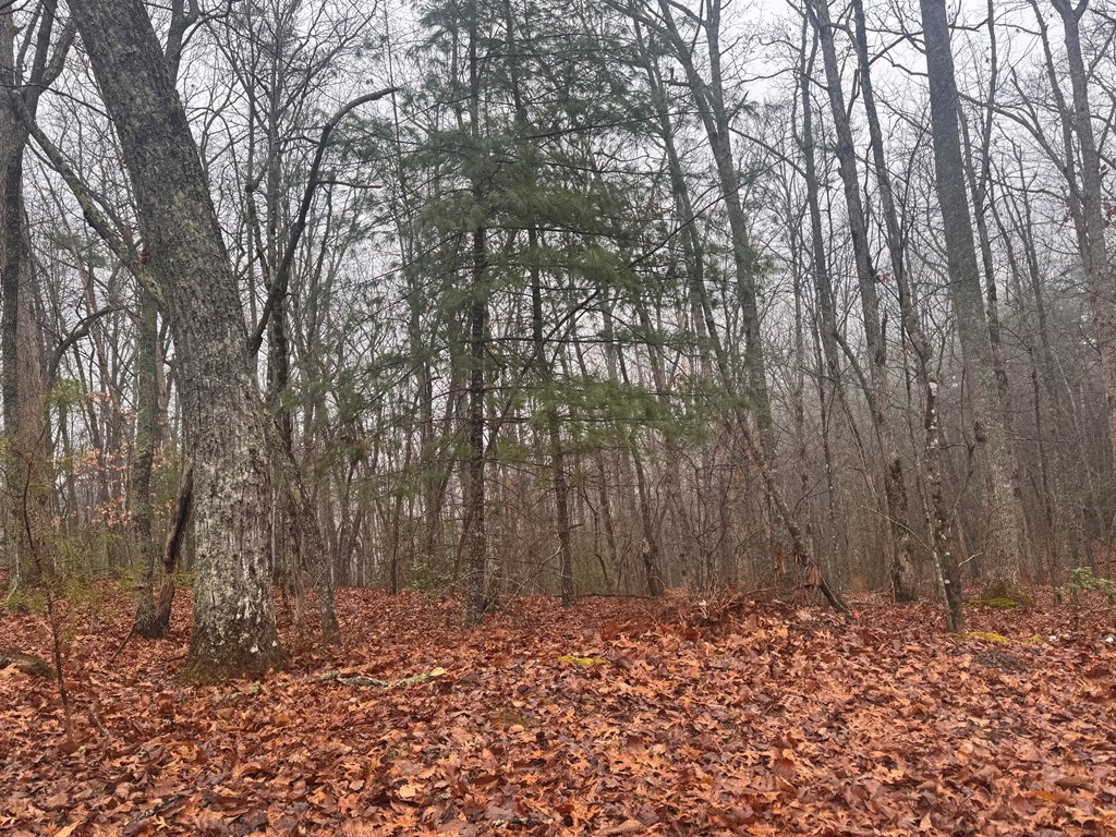 9.7Acres Winchester Creek