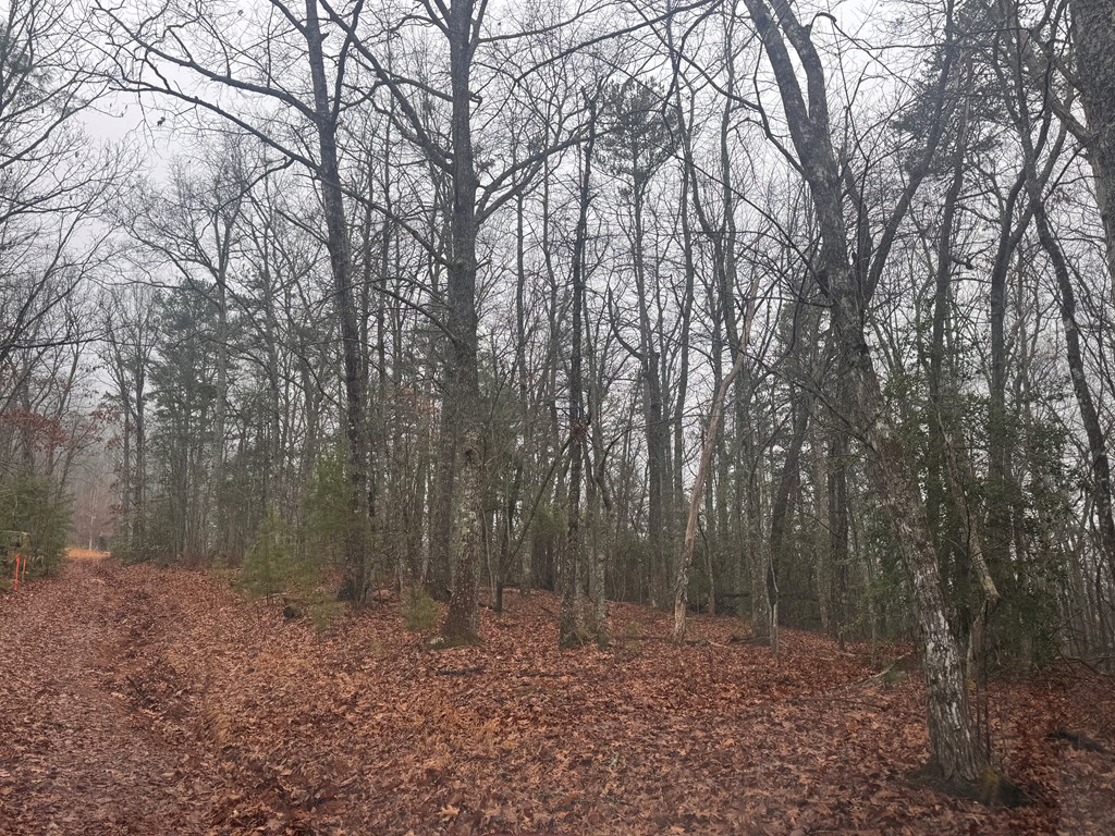 9.7Acres Winchester Creek