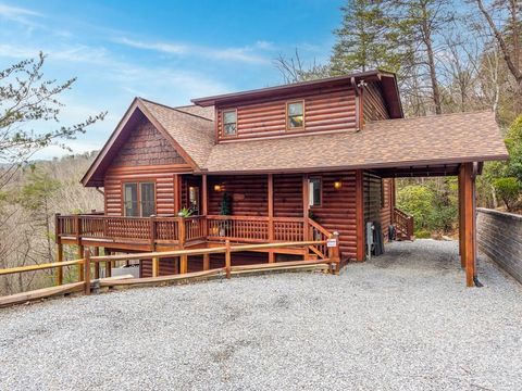 411 Ridge Trail Blue Ridge GA 30513
