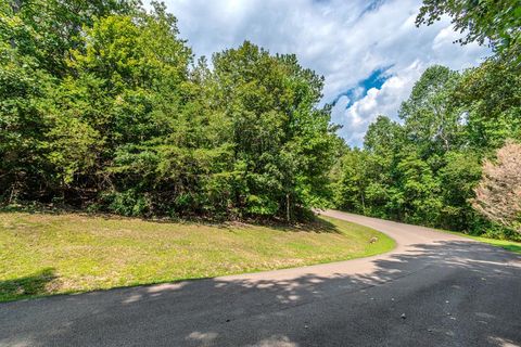 Lot 104 Mountain Creek Hollow Drive Talking Rock GA 30175