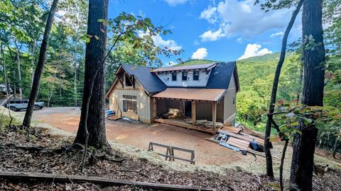 3549 Salem Road Mineral Bluff GA 30559