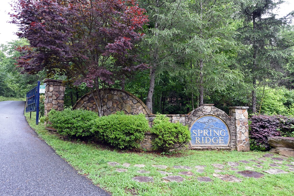 LOT 1 Spring Ridge Drive
