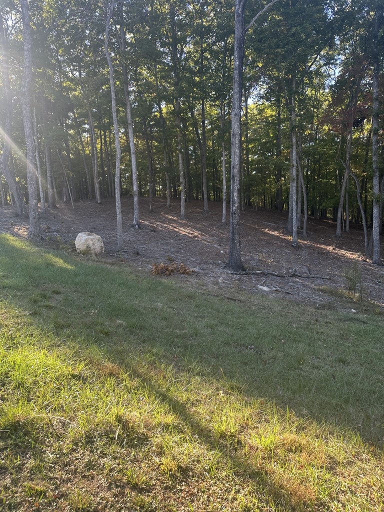 Lot 42 Ridge Dr