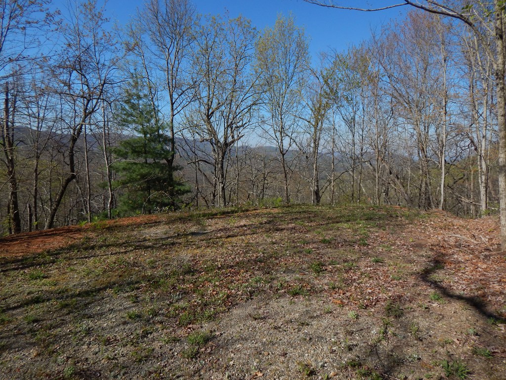 8-2-10-2 Tree Top Drive