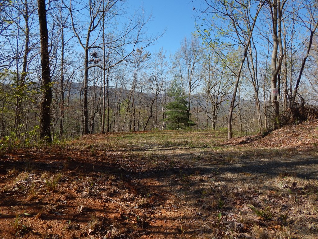 8-2-10-2 Tree Top Drive