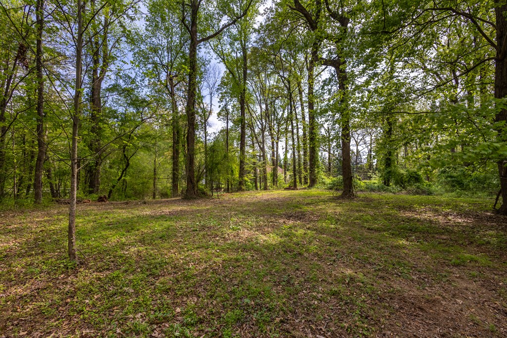 Lot 1 Cypress Pointe Lane