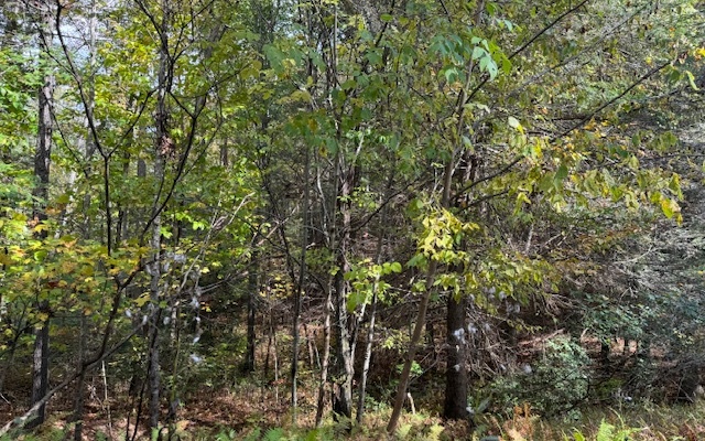 Lt 56,57 Hemlock Heights