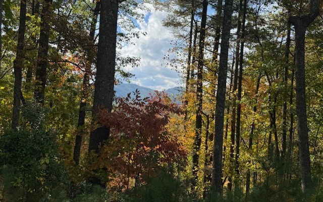 Lt 56,57 Hemlock Heights