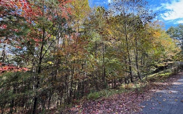 Lt 56,57 Hemlock Heights