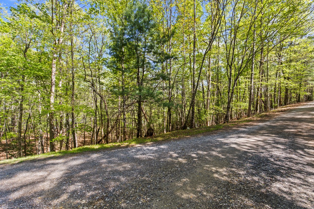 .75 Acre Chinkapin Drive