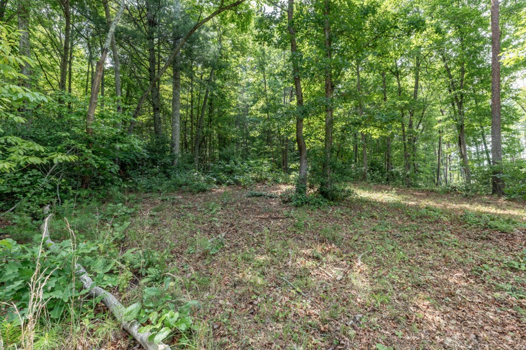 Lot 35 Hidden Harbor