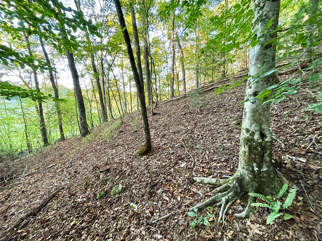 4AC Rainey Valley Lane