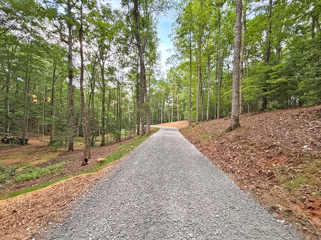 4AC Rainey Valley Lane