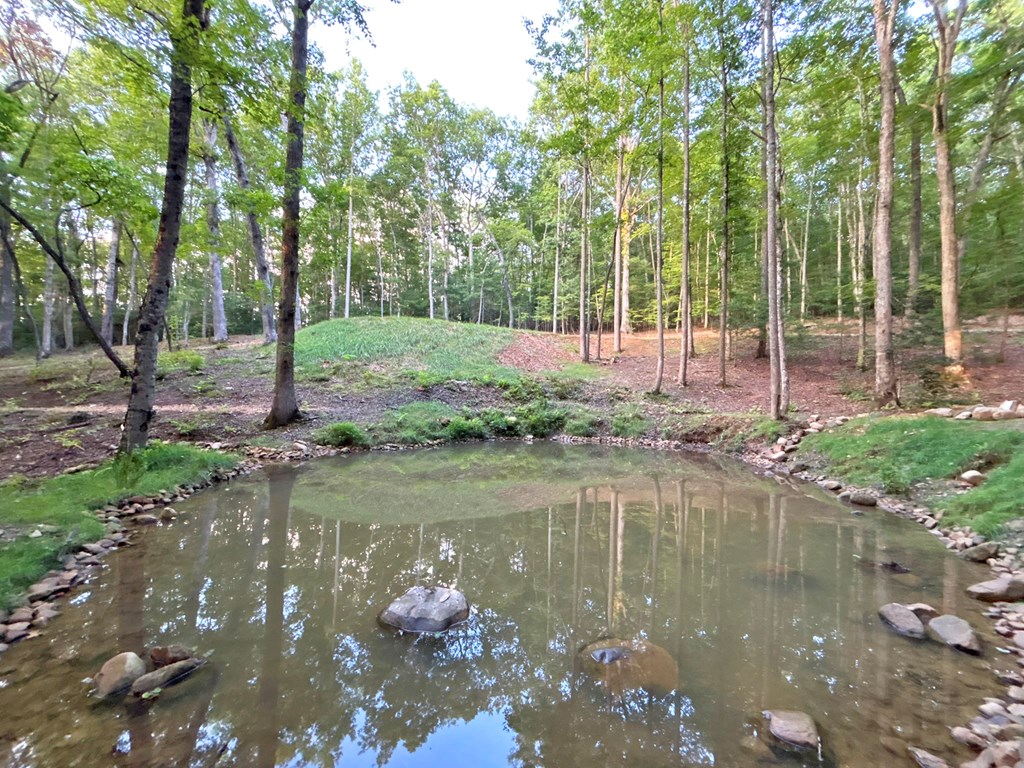 4AC Rainey Valley Lane