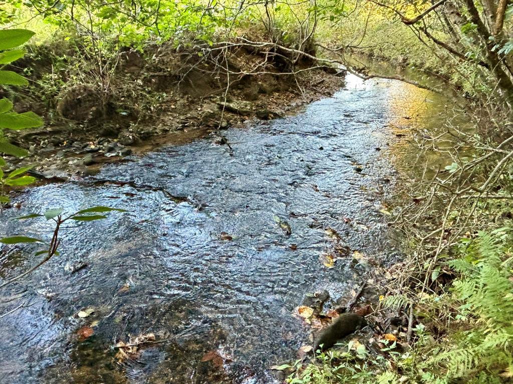 4AC Rainey Valley Lane