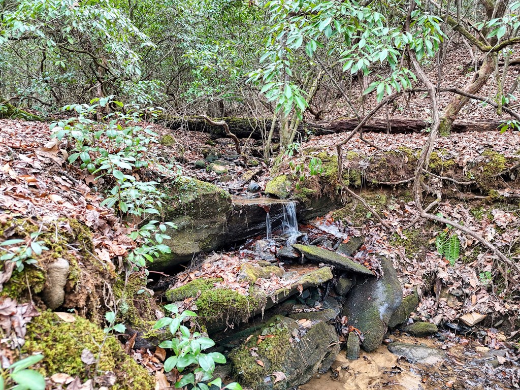 LT 28/29 New Water Way