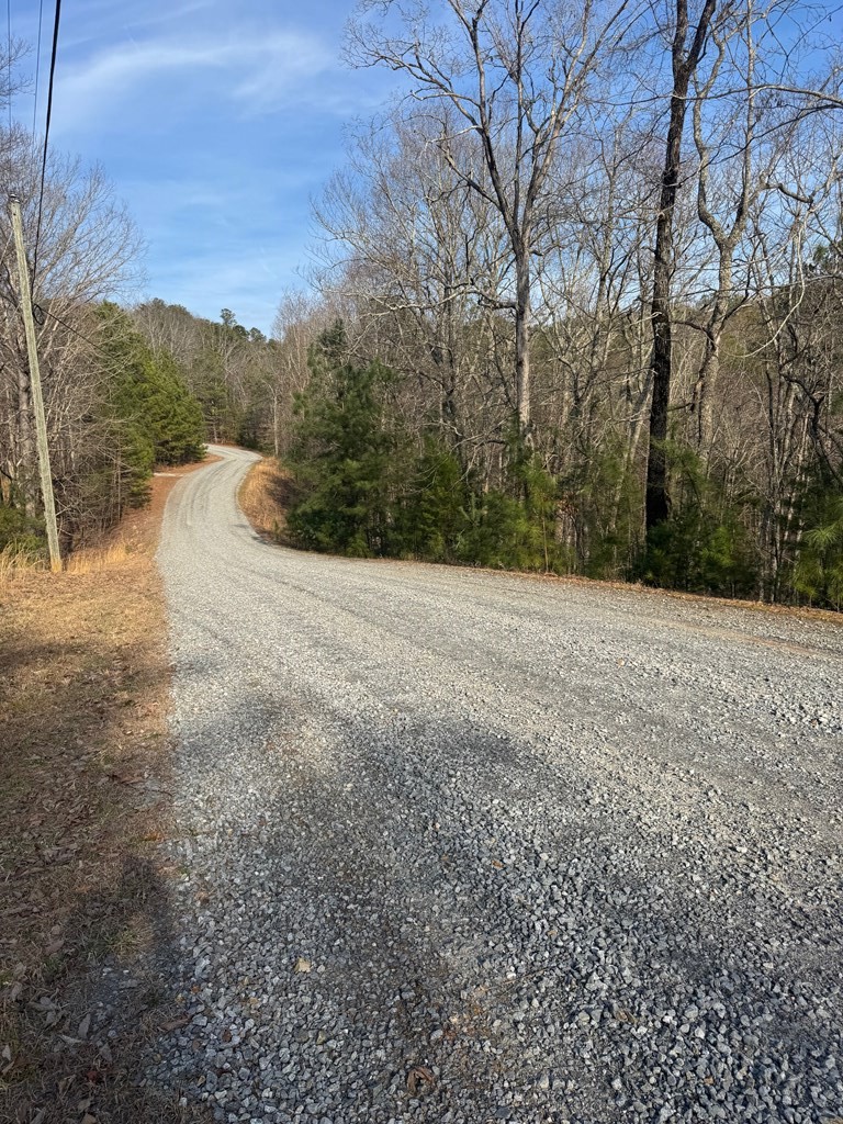 208 Lake Forest Drive