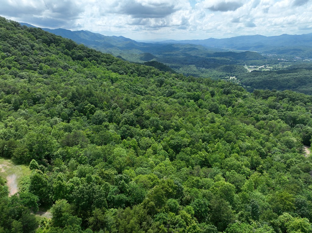 Lot 51 Grand View Falls