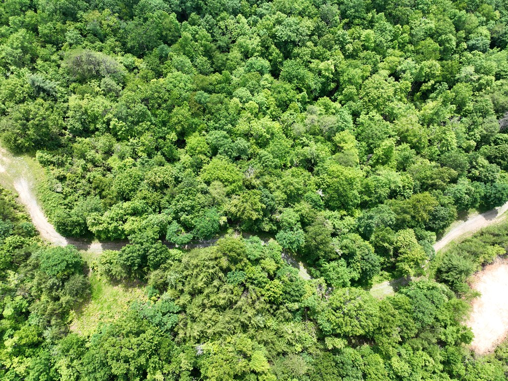 Lot 51 Grand View Falls