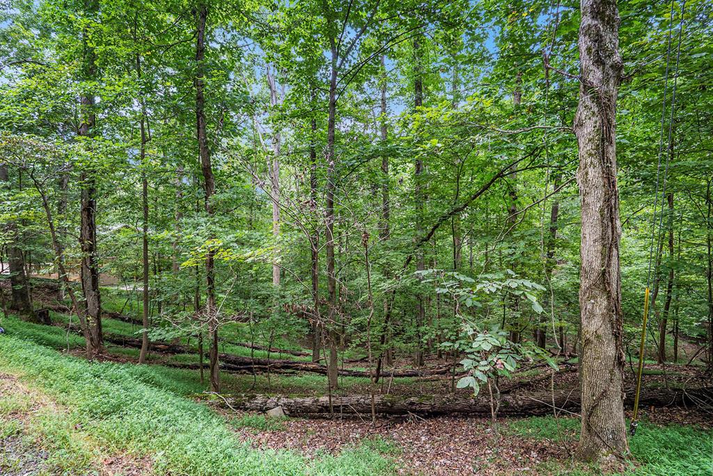 Lot 72 Huron Circle
