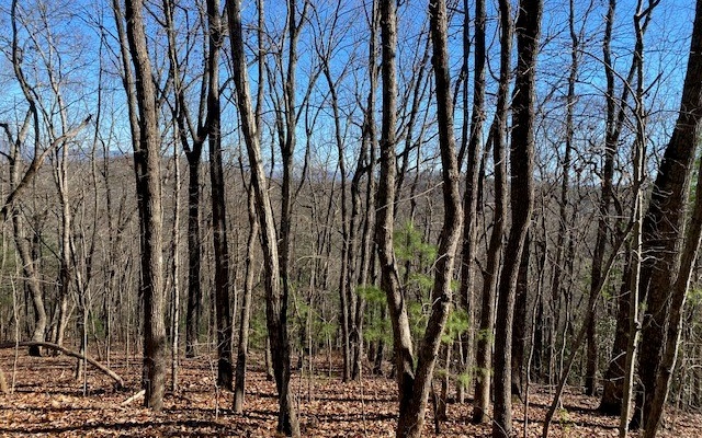 LT 4 Sunrock Mountain Trc