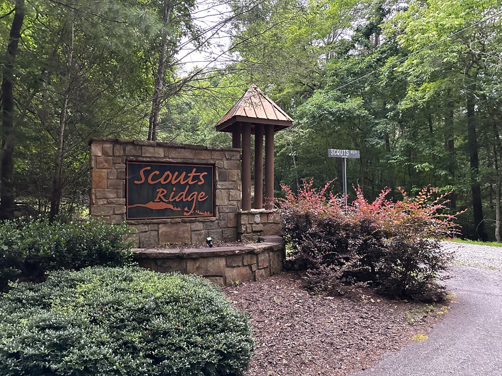 Lt 23 Scouts Ridge Road