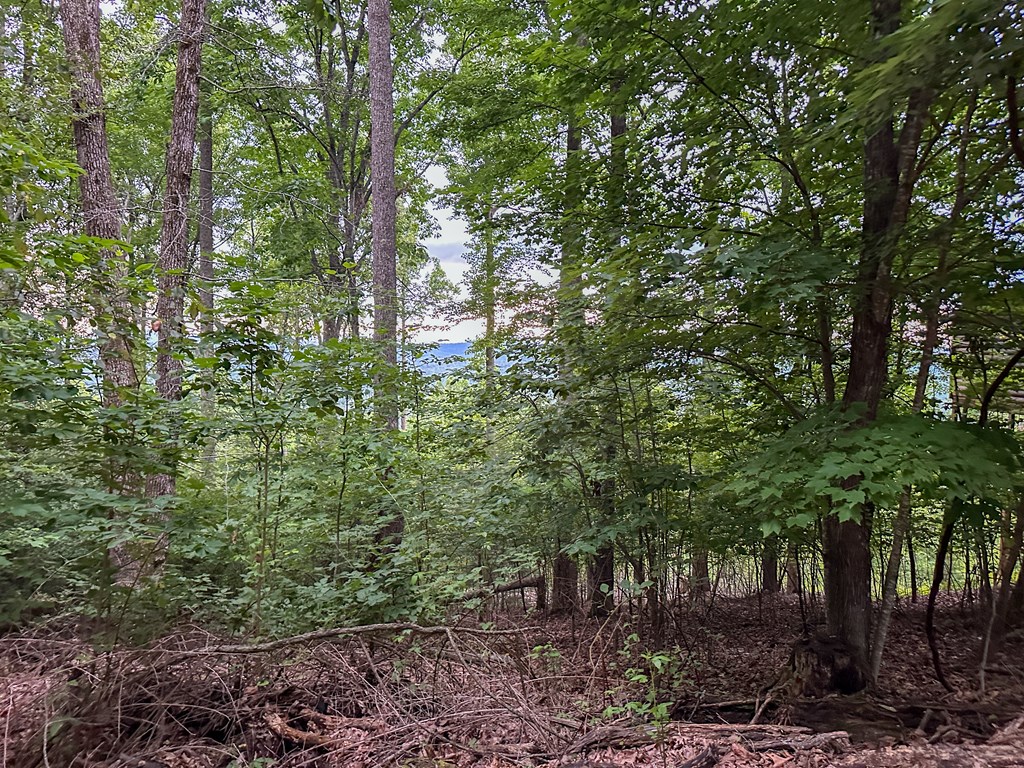 Lt 23 Scouts Ridge Road