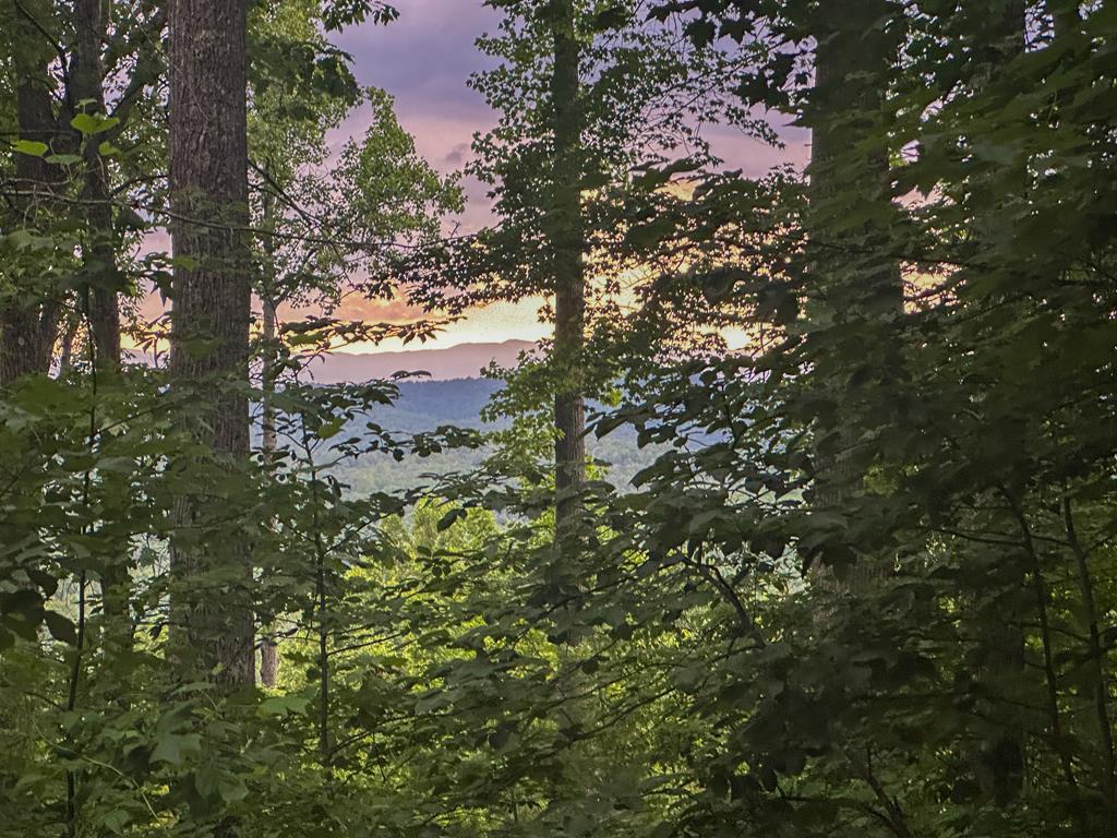 Lt 23 Scouts Ridge Road