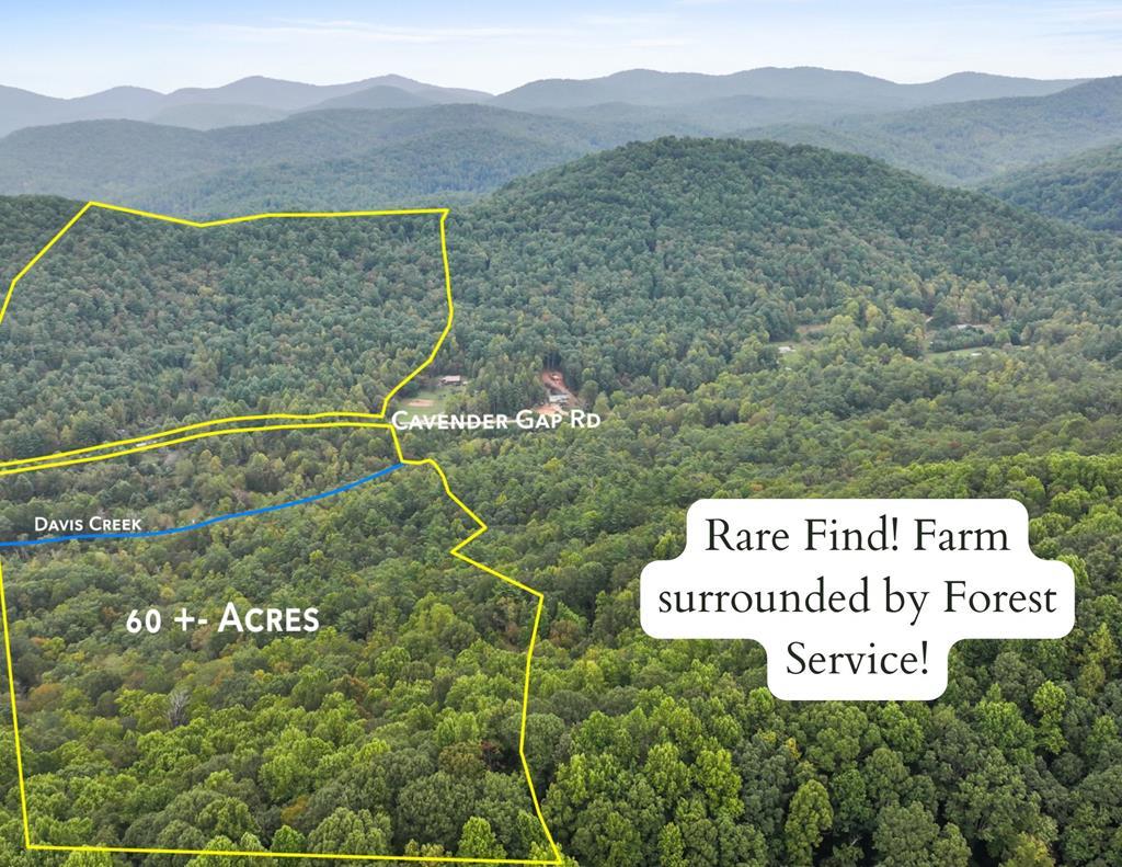 1955 Cavender Gap Road