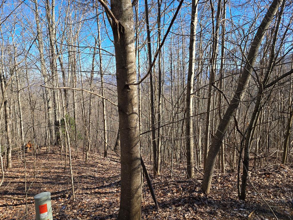 Lot #40 Overlook At Y.H.