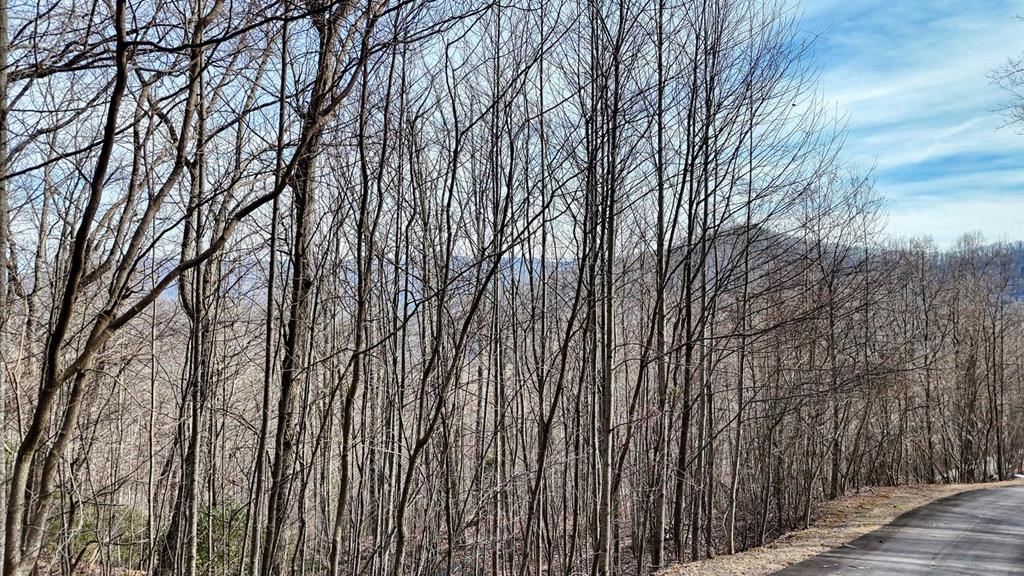 Lot #40 Overlook At Y.H.