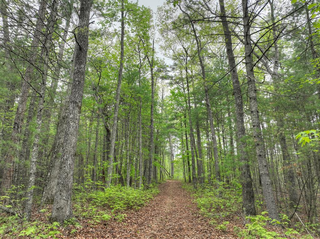 Lot 14 Watersong Trail