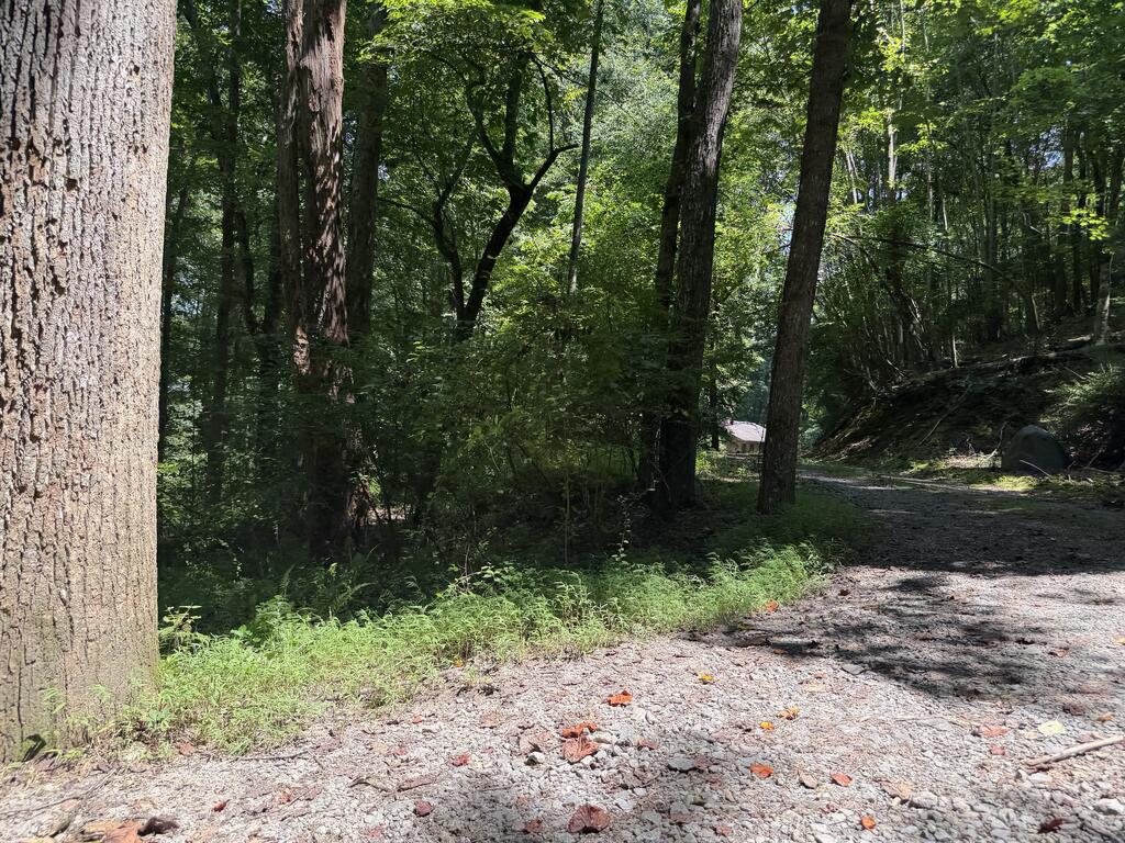 Lot 5 Blair Creek Ridge